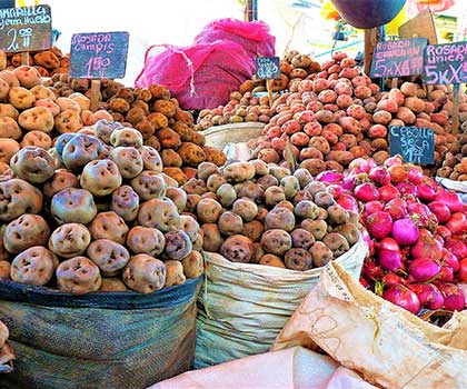 Potatoes market Pisac Sacred Valley