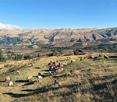 The Sacred Valley nature