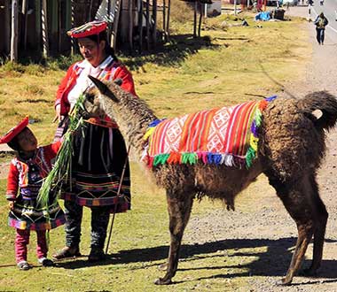 Salineras in Maras Cusco