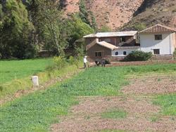 urubamba